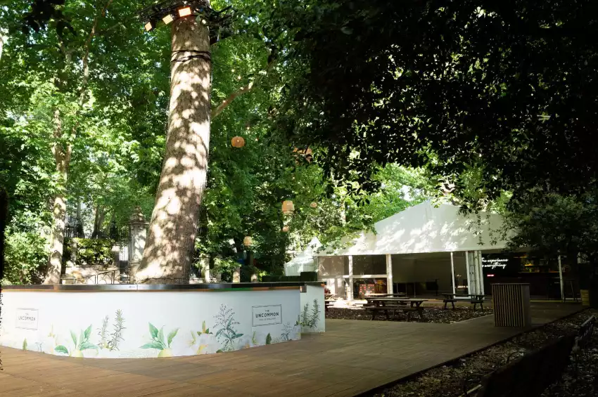 The Sunken Garden, Bloomsbury