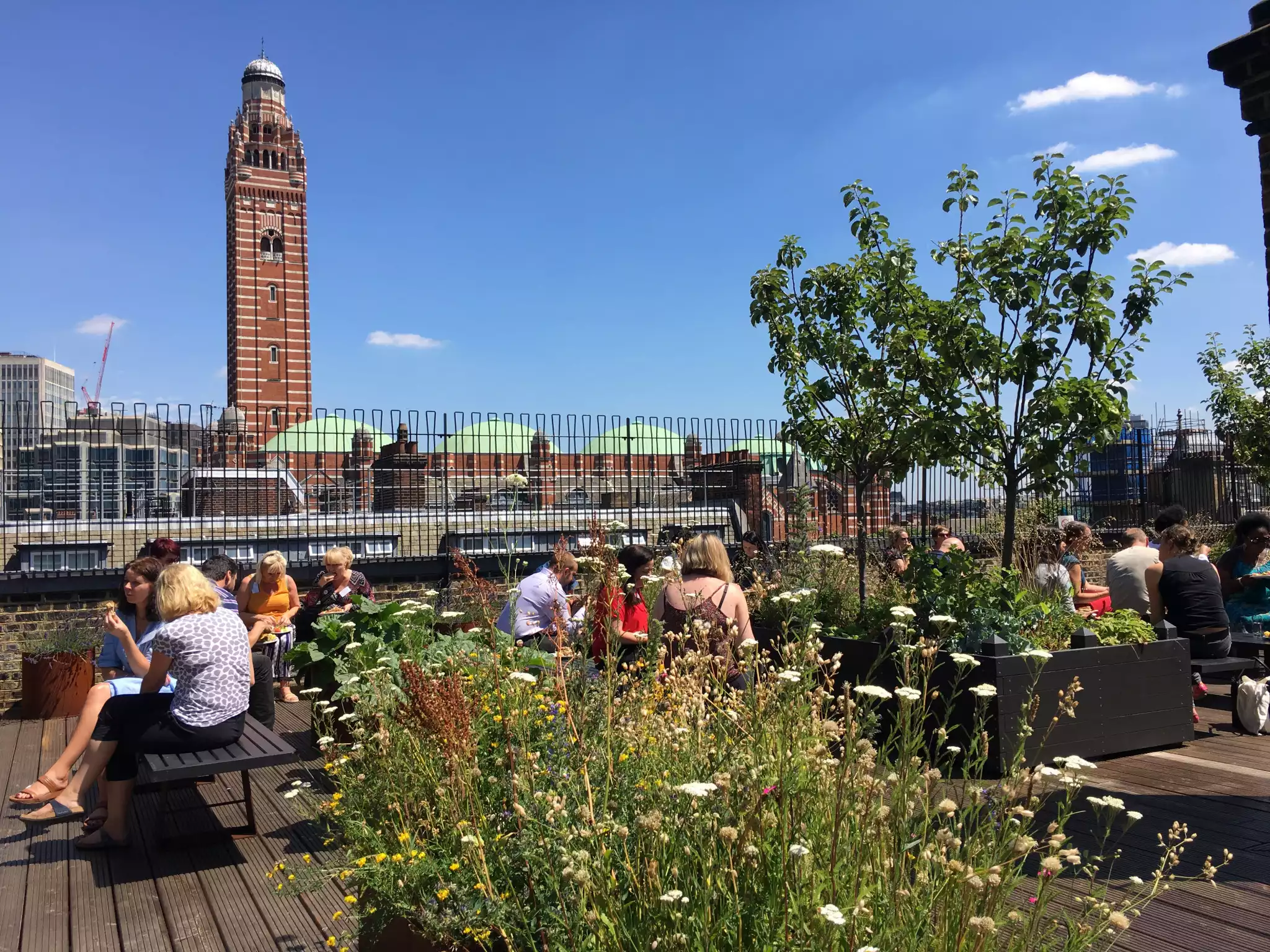 Rooftop Garden