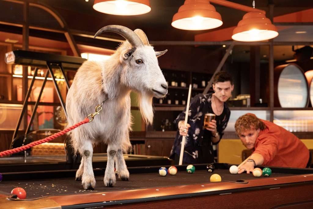 The Lucky Goat