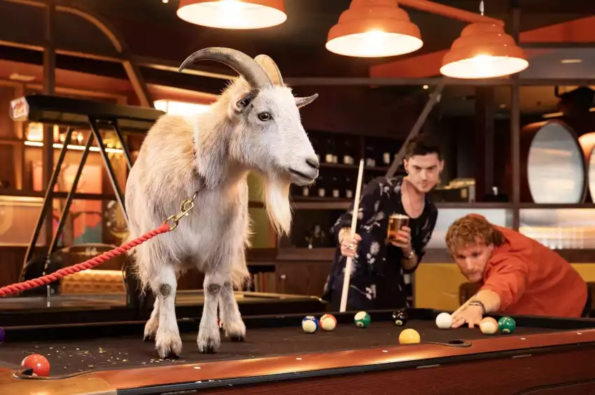 The Lucky Goat
