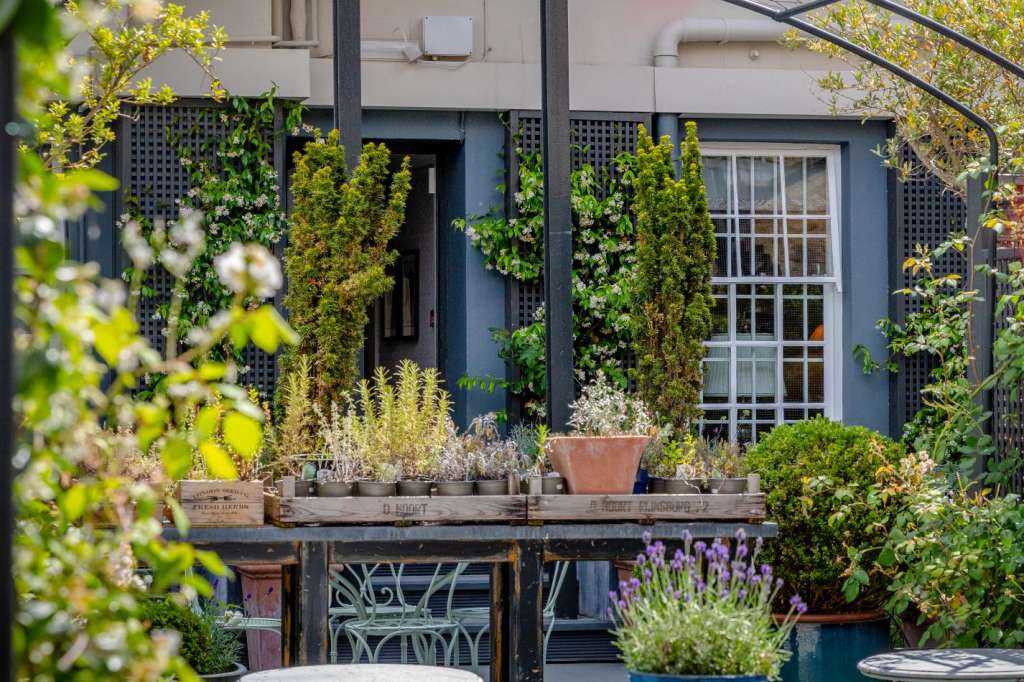 Outdoor terrace with metal furniture, potted plants, climbing ivy, and multi-level building backdrop.