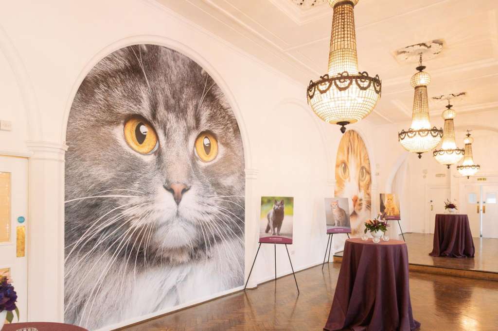 Gallery space with parquet flooring, ornate ceiling fixtures, burgundy-draped tables, and large cat portrait artwork on display.