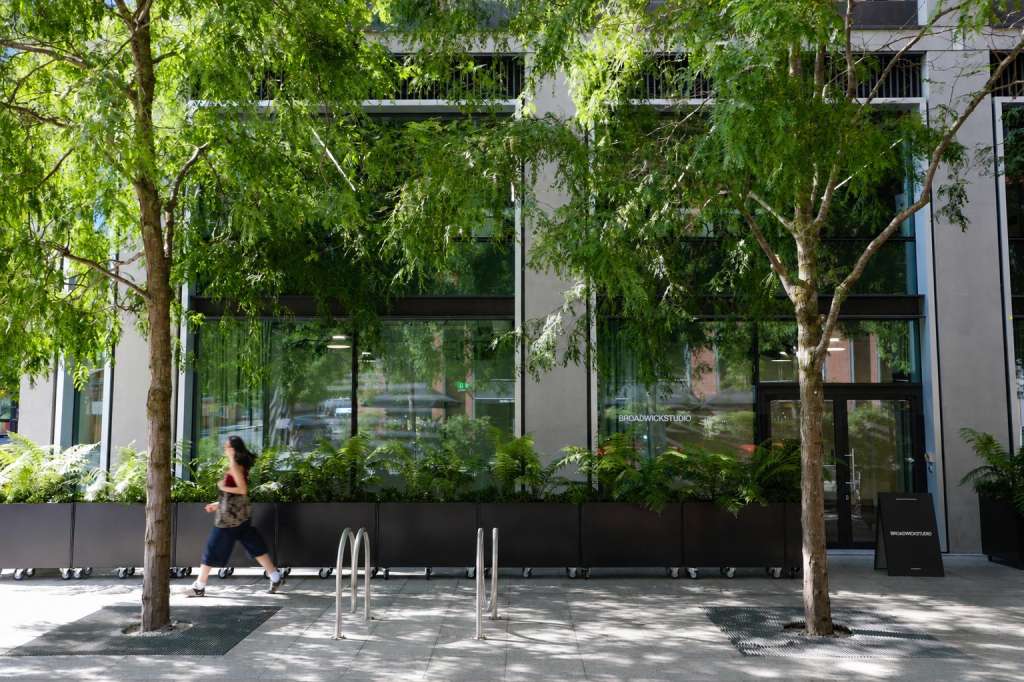 Exterior courtyard with mature trees, planters, and modern building facade with large windows.
