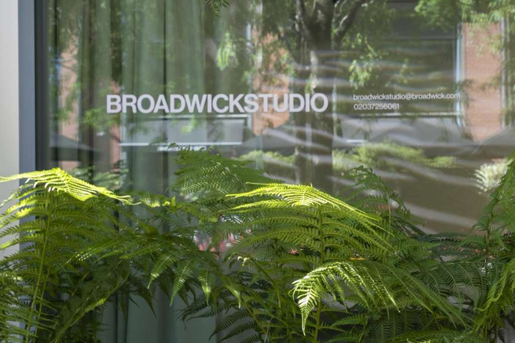Broadwick Studio storefront window with lush green ferns and hanging foliage, glass frontage with branding visible.