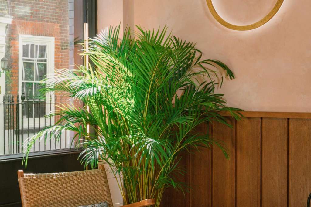 Interior lounge area with neon Pitch sign, potted plant, wicker chair, and round table by window.