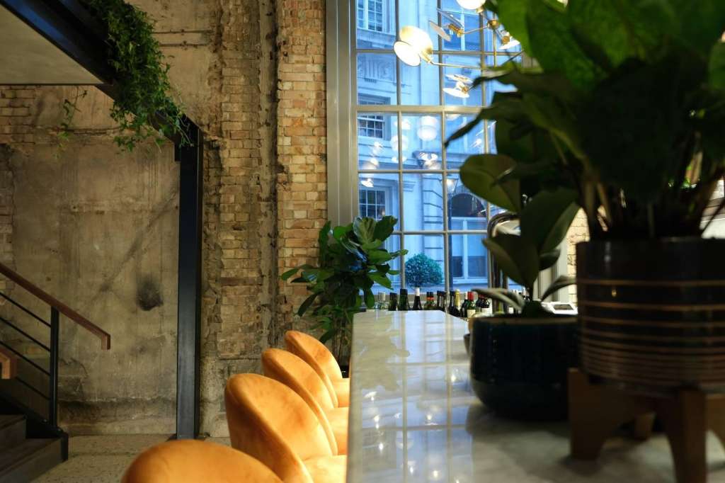 Modern corridor with exposed brick walls, potted plants, polished floor, and large windows overlooking city buildings.
